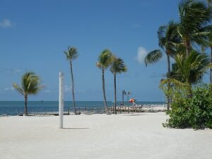 are dogs allowed on the beaches in key west 1